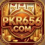 PKR656