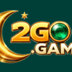 2GO Game
