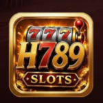 H789 Game