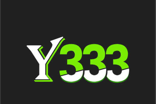 Y333 Game