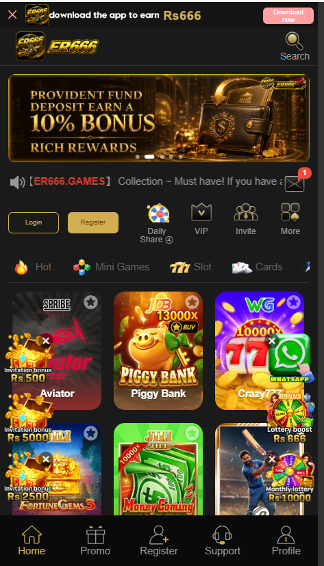 ER666 Game